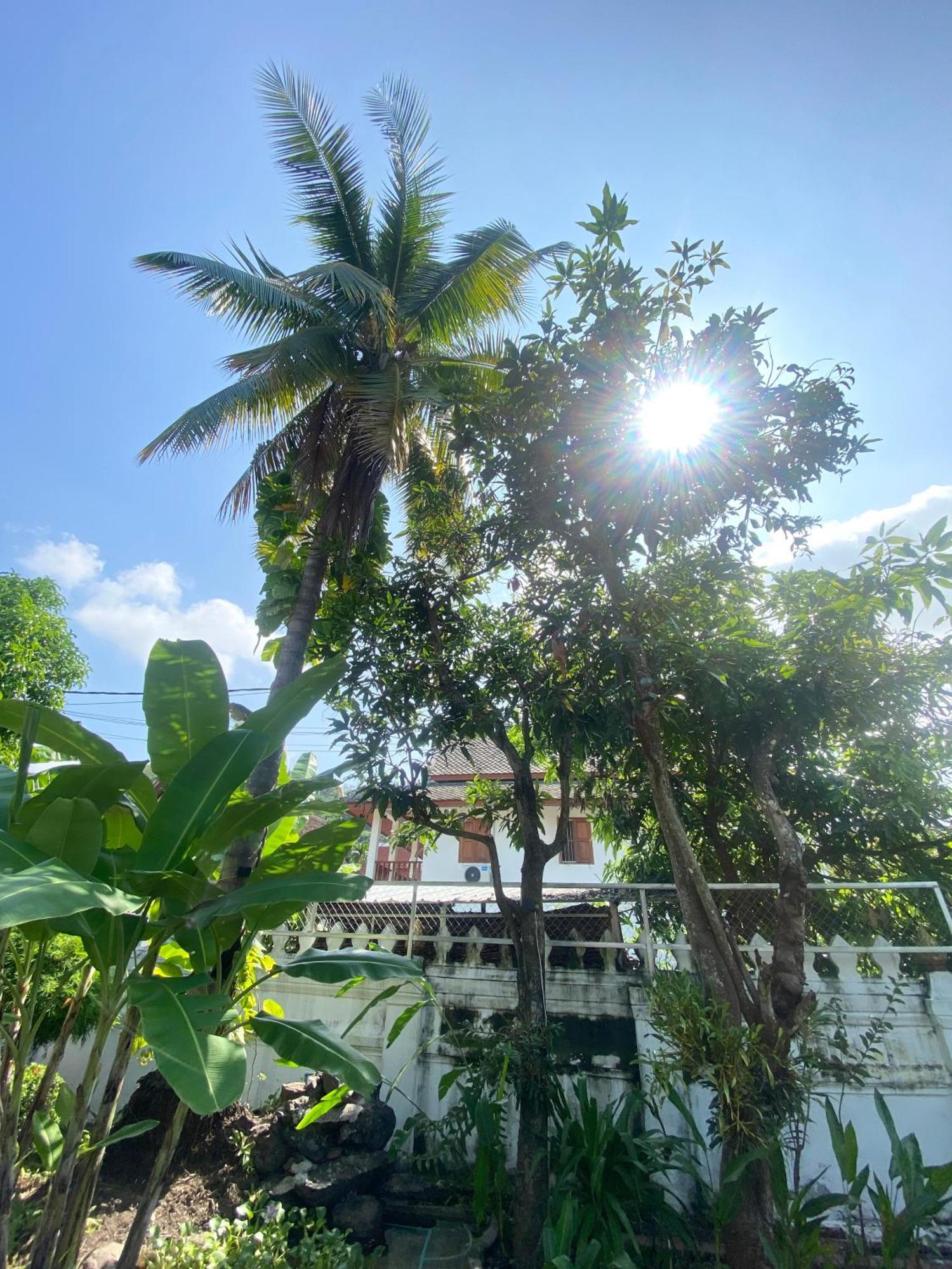 Luang Prabang Residence & Travel المظهر الخارجي الصورة