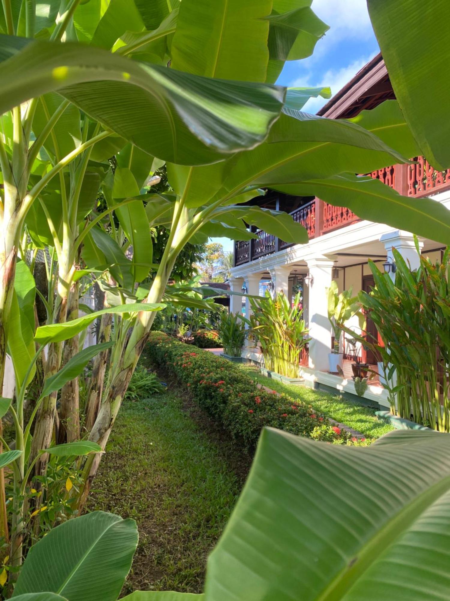 Luang Prabang Residence & Travel المظهر الخارجي الصورة